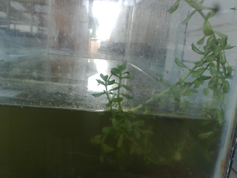 03062010933.jpg