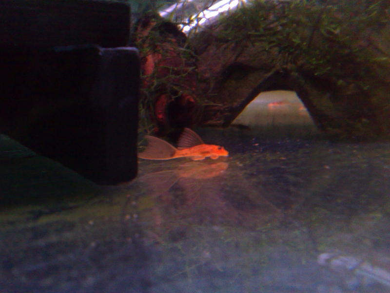 060220132860.jpg