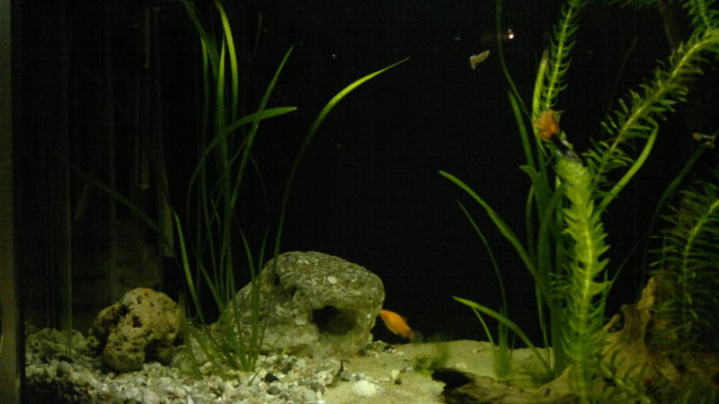 08062011140.jpg