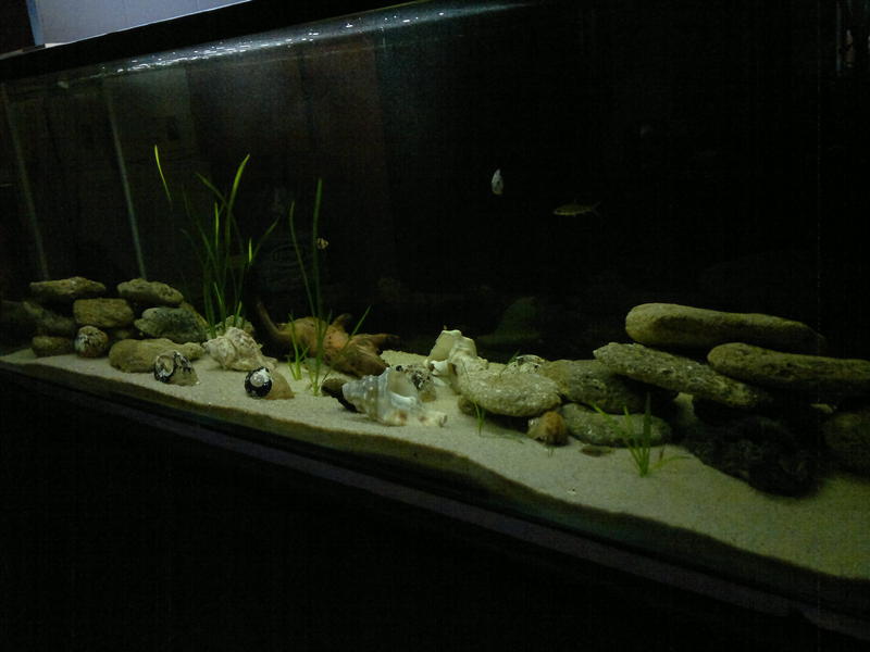 08062011144.jpg