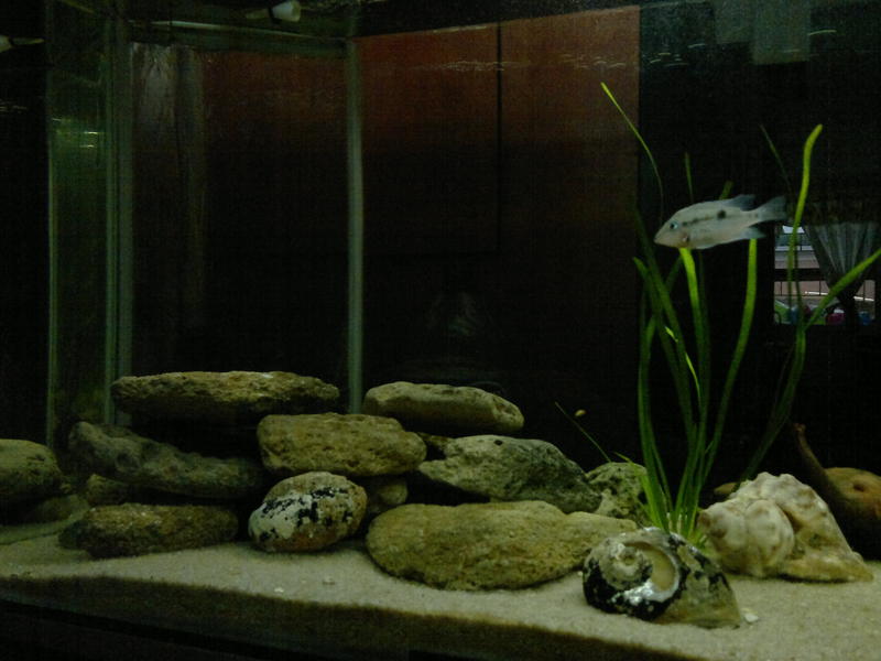 08062011147.jpg