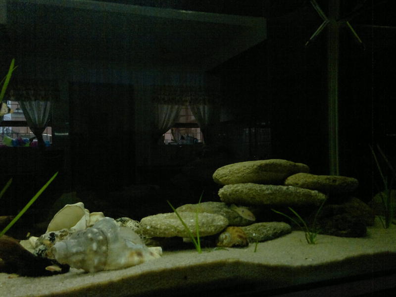 08062011148.jpg