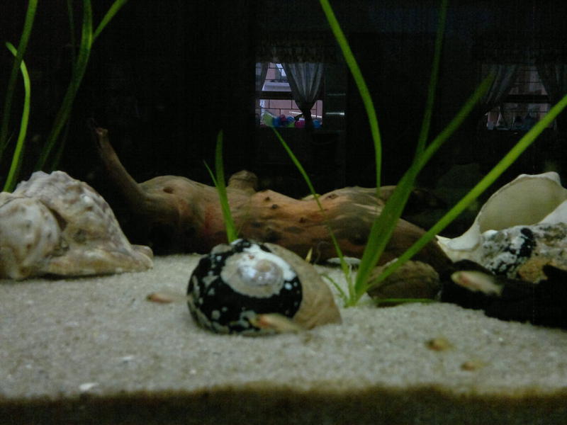 08062011150.jpg