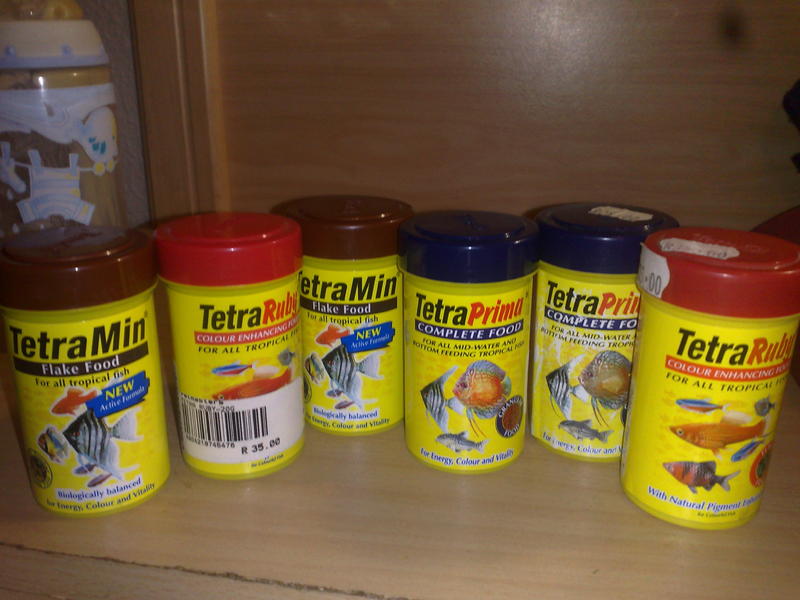 09042010582.jpg