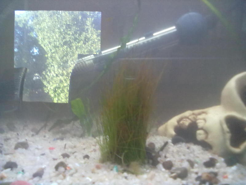 09082012092.jpg