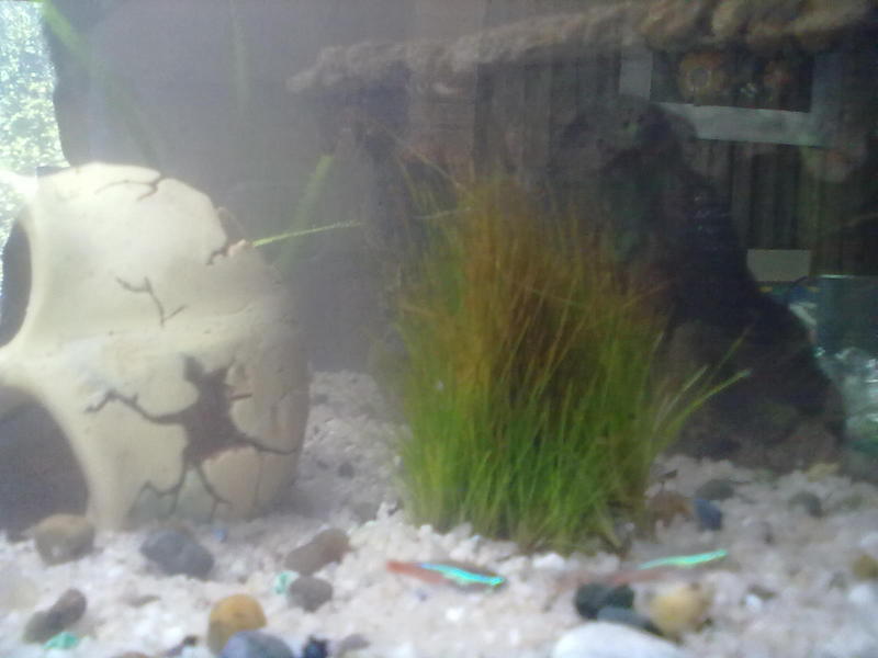 09082012093.jpg