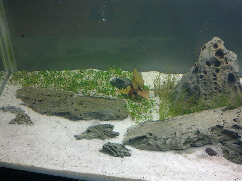 10052011110.jpg