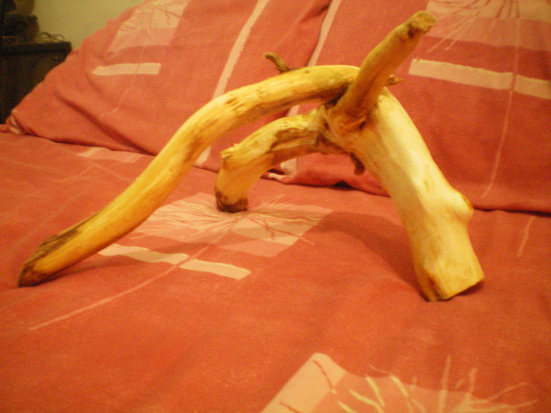 100_0192.jpg