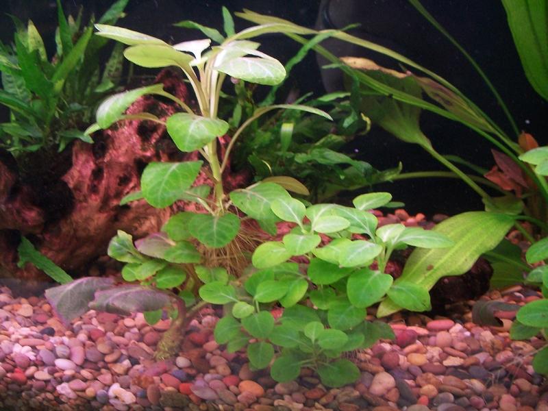 100_0415.jpg