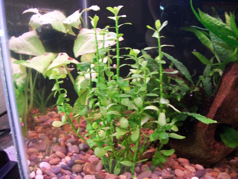 100_0418.jpg
