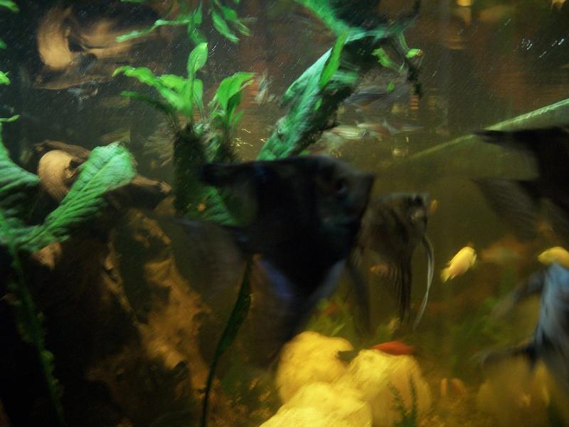 100_0433.jpg