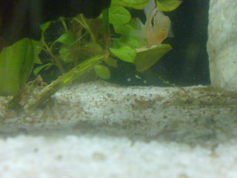 15042011062.jpg
