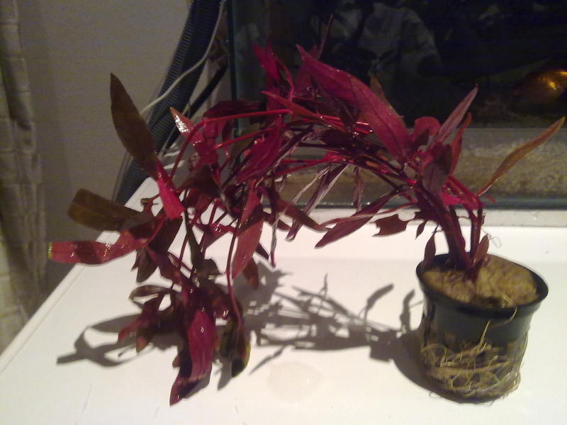 180720103170.jpg