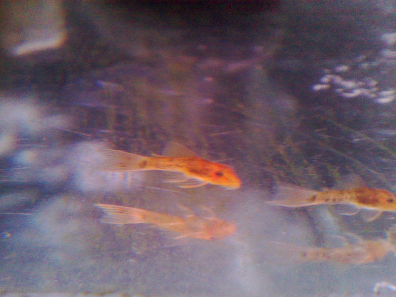 190120132699.jpg