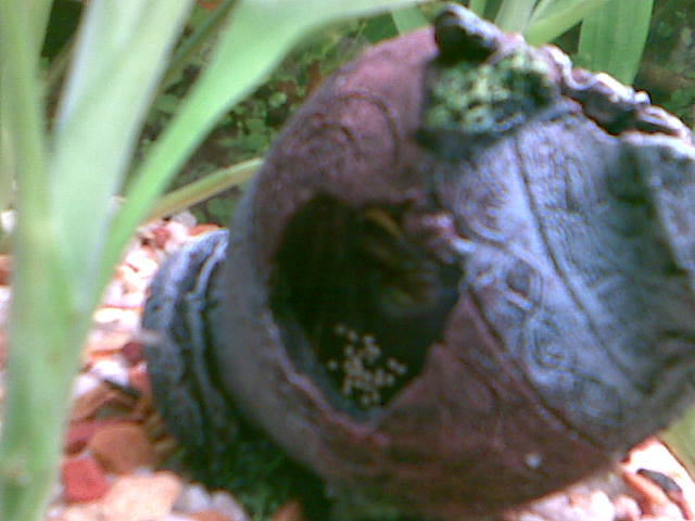 20072009(003).jpg