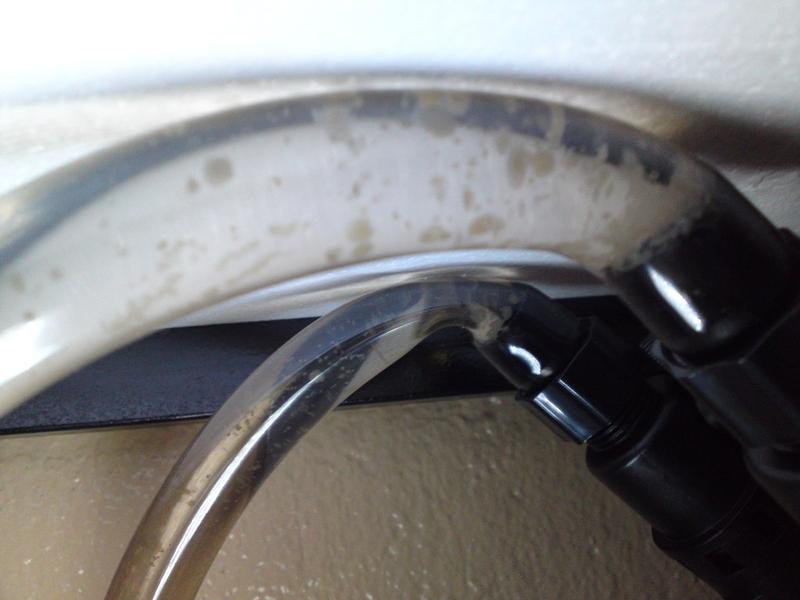 20100818201.jpg