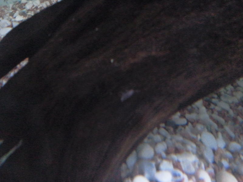 2011-08-28 20.17.23.jpg