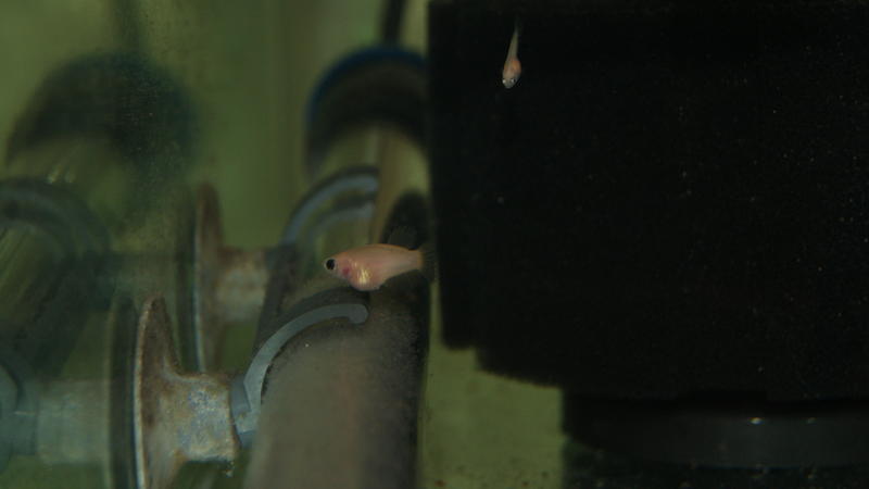 2012-09-18 19.19.45.jpg