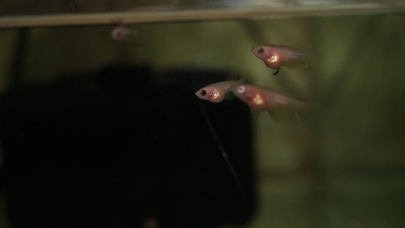 2012-09-18 19.26.51.jpg