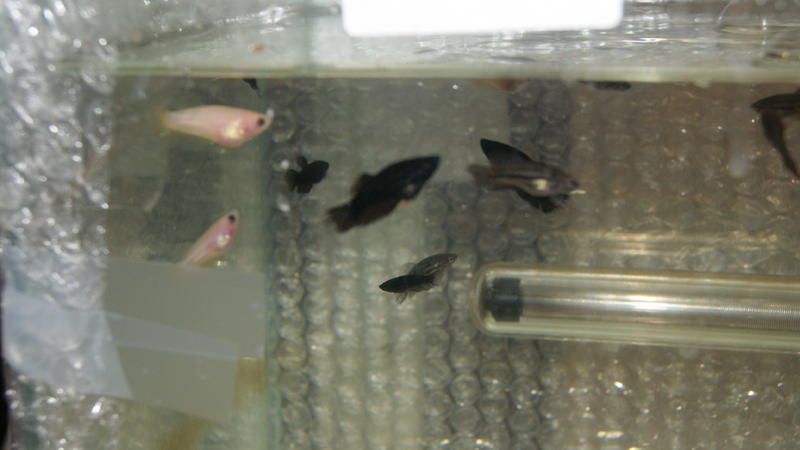 2012-09-27 05.16.59.jpg