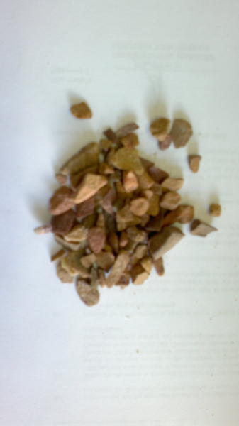 2012-09-28-595.jpg
