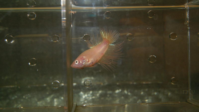 2012-10-17 20.04.43.jpg