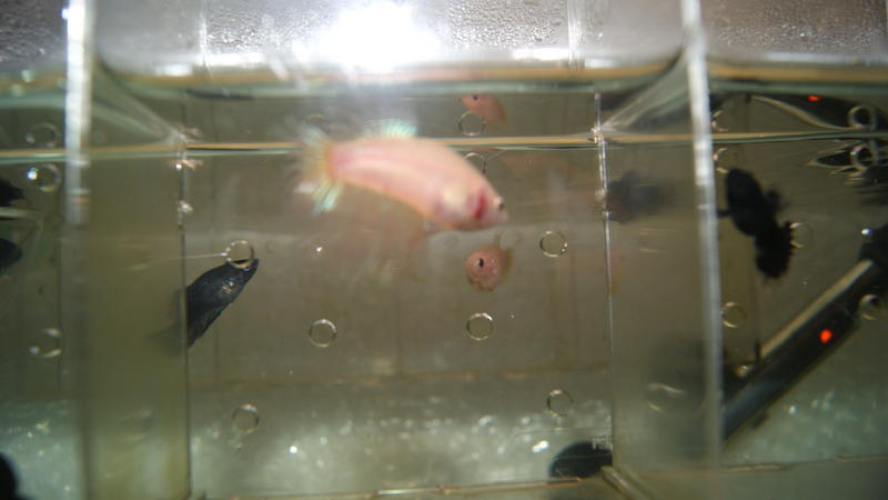 2012-10-17 20.10.39.jpg