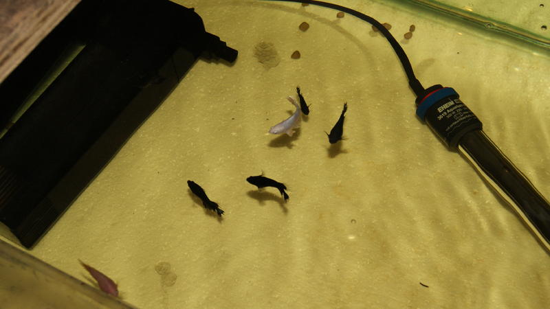2012-12-19 05.54.33.jpg
