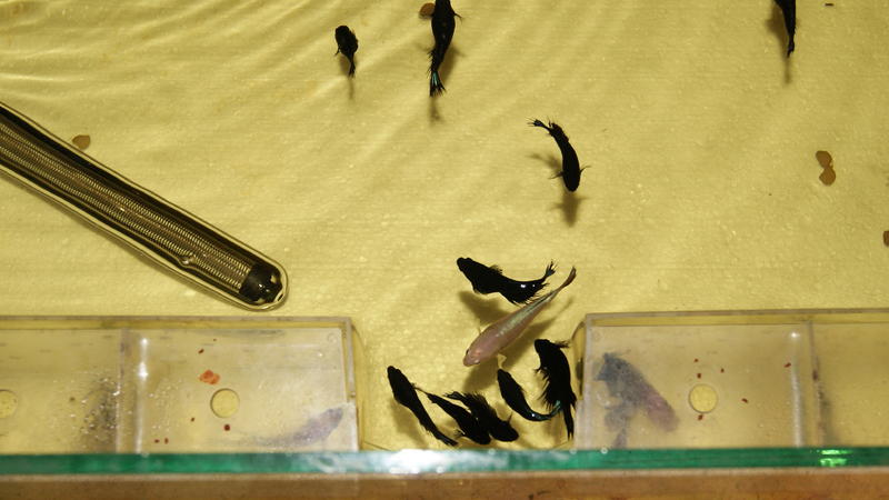 2012-12-19 05.54.44.jpg