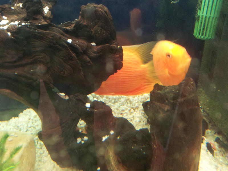 20120223_102834.jpg