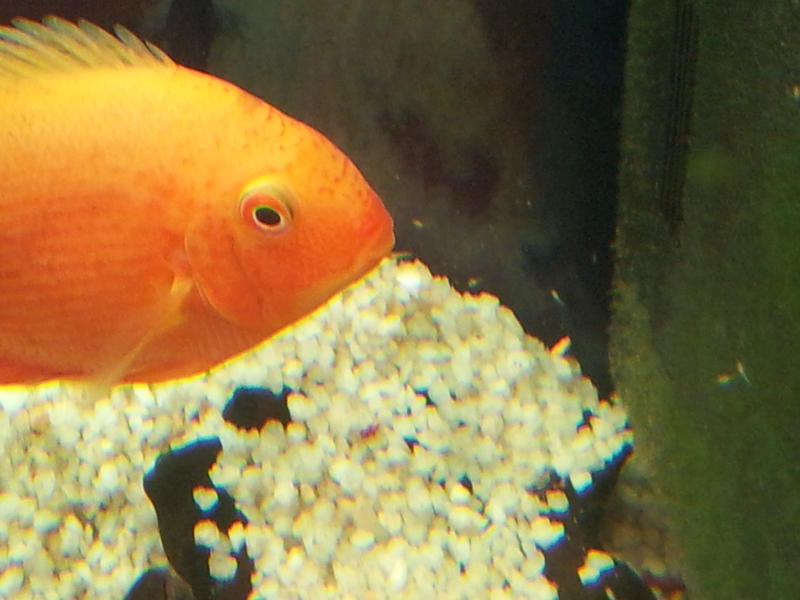 20120223_102856.jpg