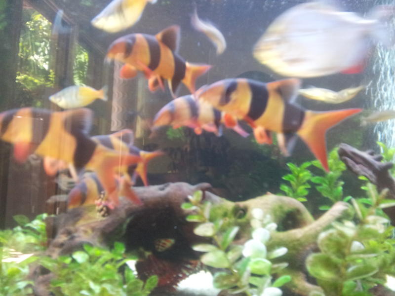 20120224_113204.jpg