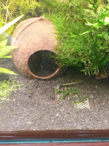 2013-01-30 09.09.17.jpg