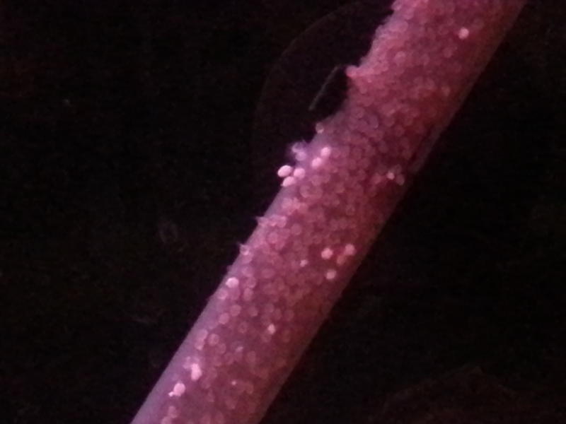 20130214_051300.jpg