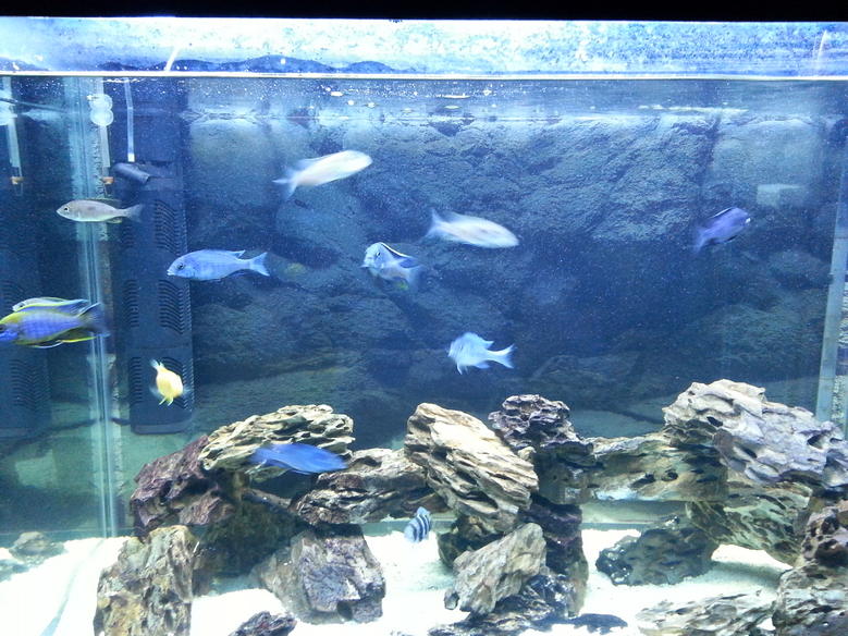 20130702_191851.jpg