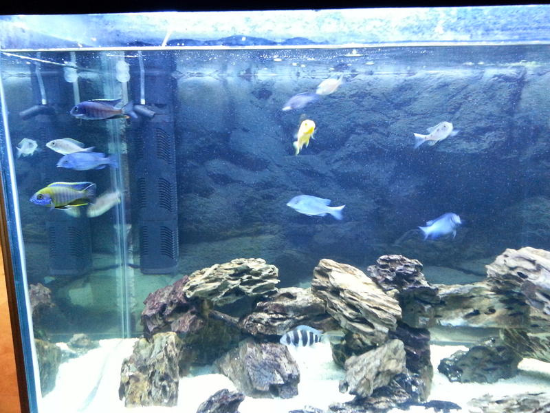 20130702_191853.jpg