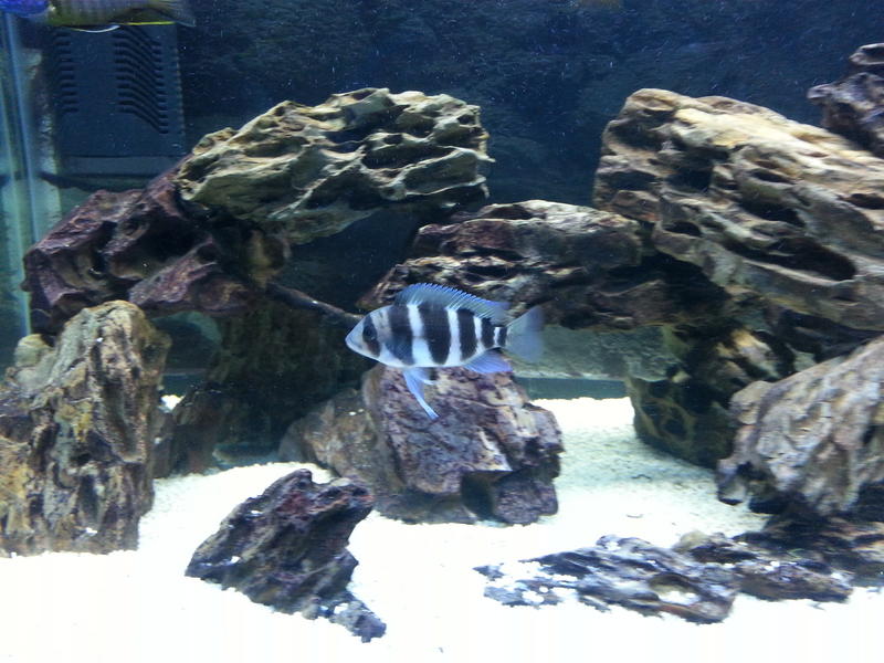 20130702_191901.jpg