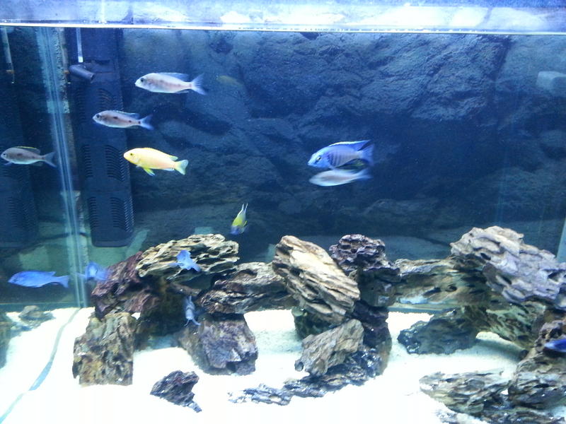 20130702_191920.jpg
