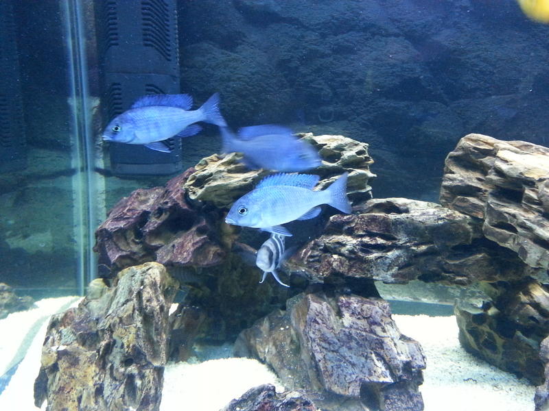 20130702_192006.jpg