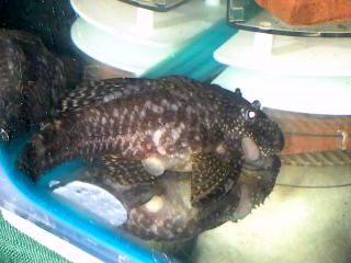 20130818_192555.jpg