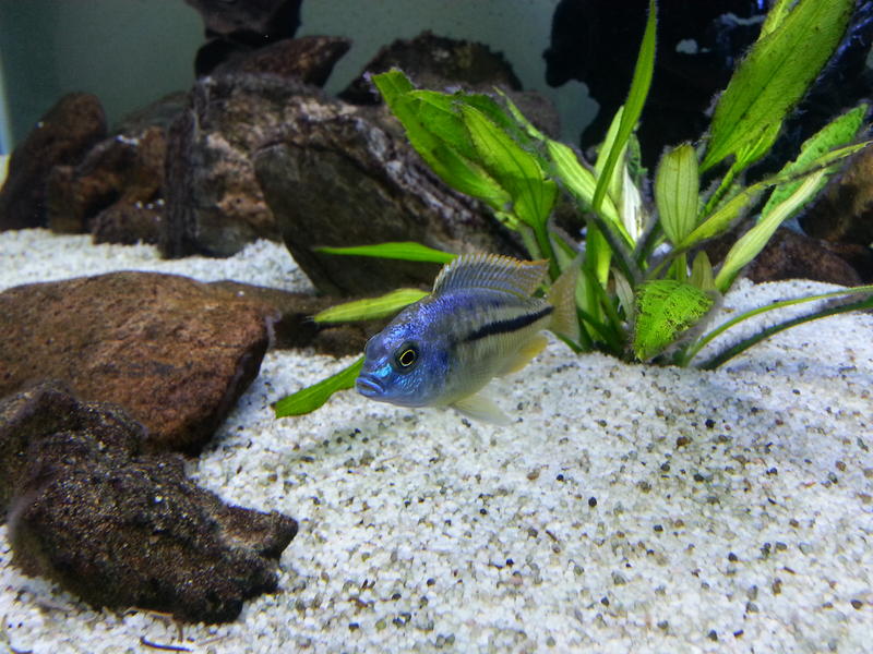 20130819_171940.jpg