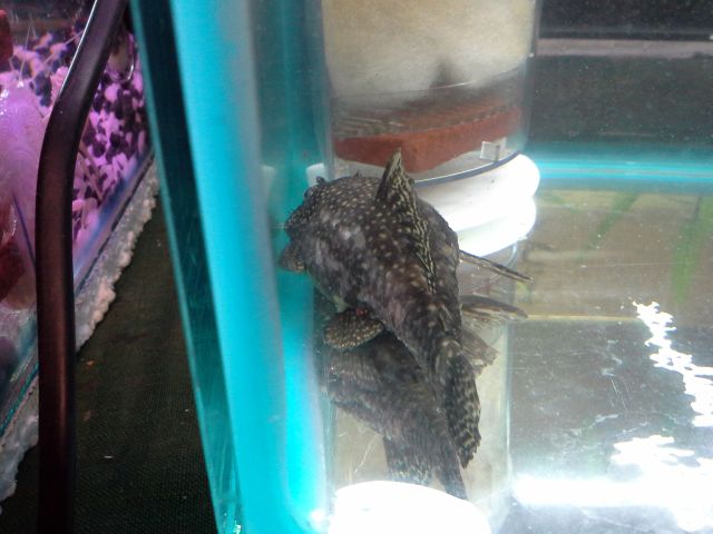 20130823_201132.jpg