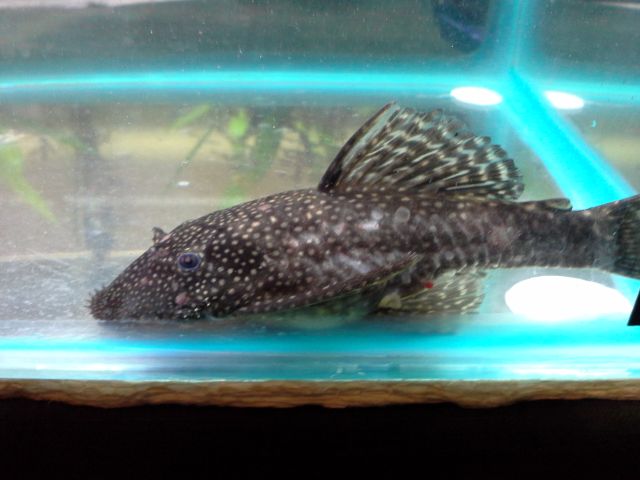 20130823_201326.jpg