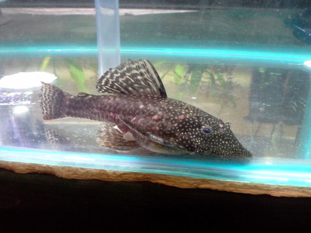 20130823_201405.jpg