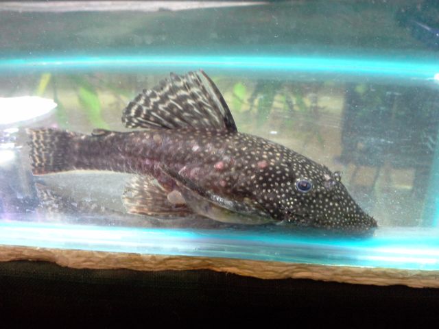 20130823_201410.jpg