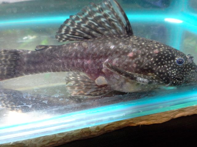 20130823_201428.jpg