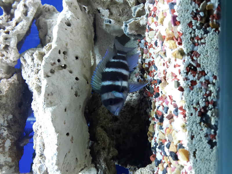 20130923_185832.jpg