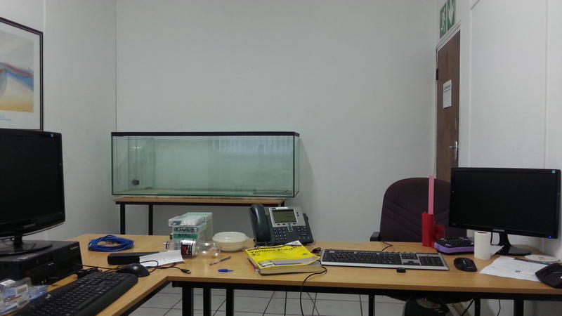20130930_084013.jpg