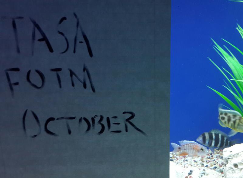 20131007_211050-1.jpg