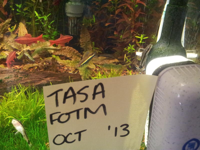 20131008_142336[1].jpg